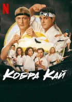 Кобра Кай смотреть онлайн сериал 1-6 сезон
